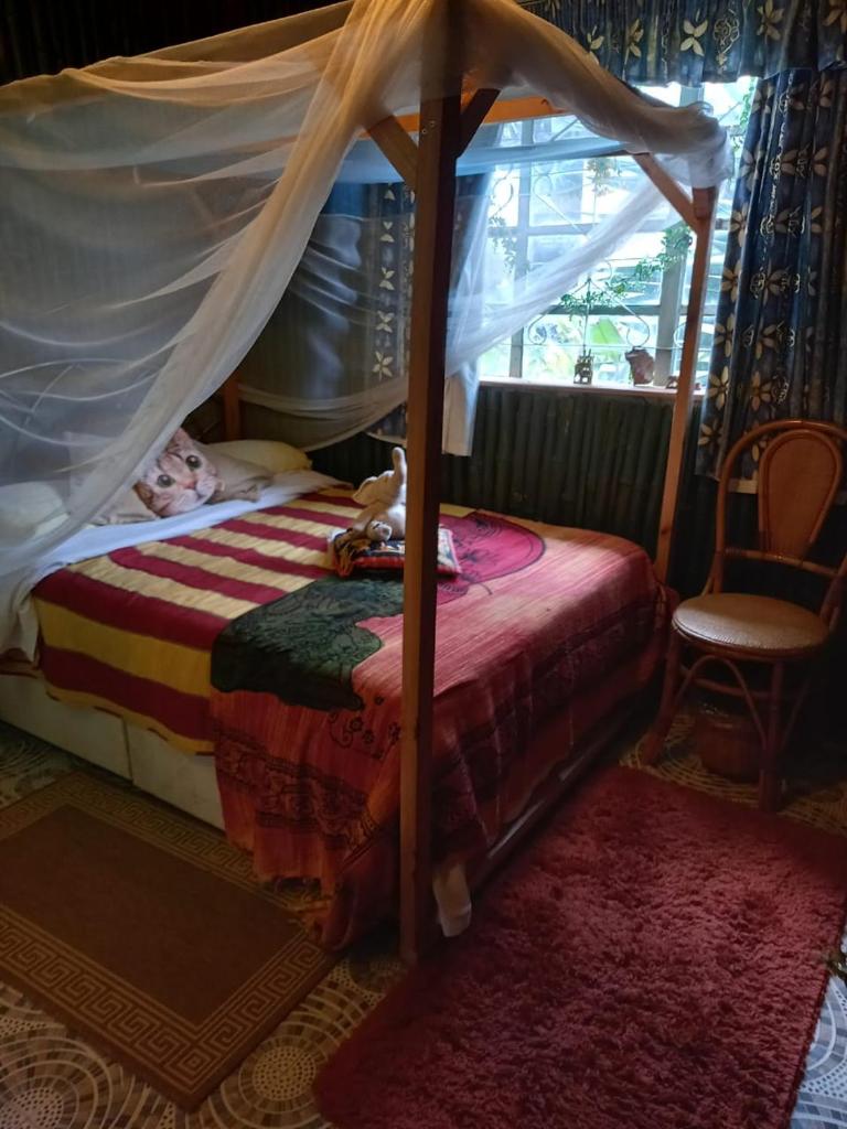 Sasana Motel and Guest House photo 4