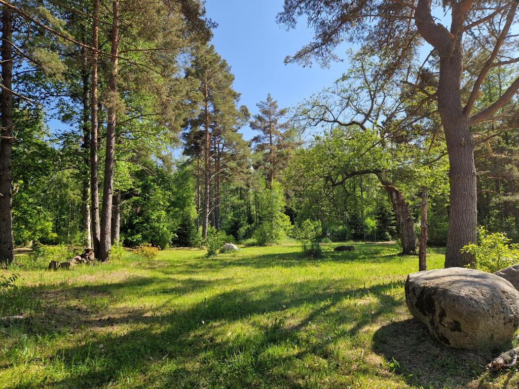 Elulille maja mere läheduses Lahemaa rüpes photo 4