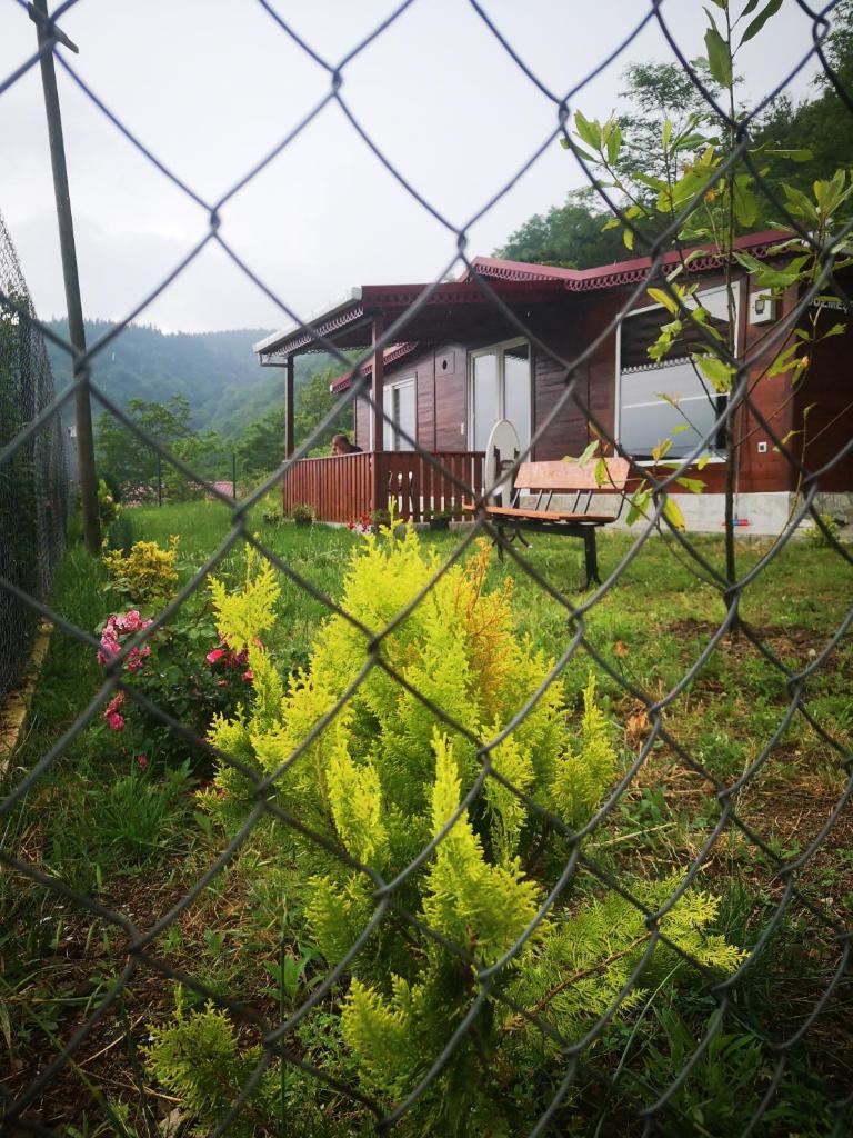 Bungalov Düzmeşe photo 1