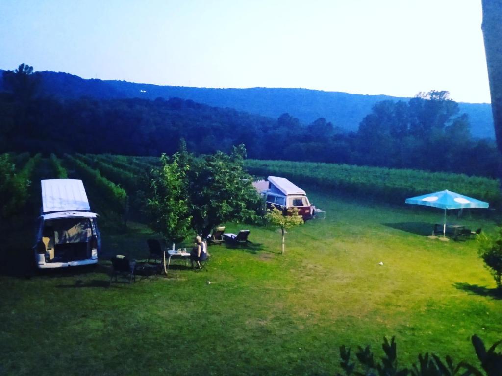 Purple Eye Camp & Winery photo 3