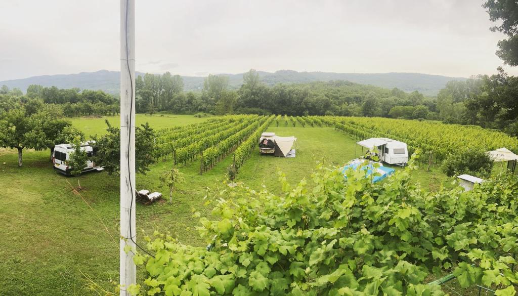 Purple Eye Camp & Winery photo 2