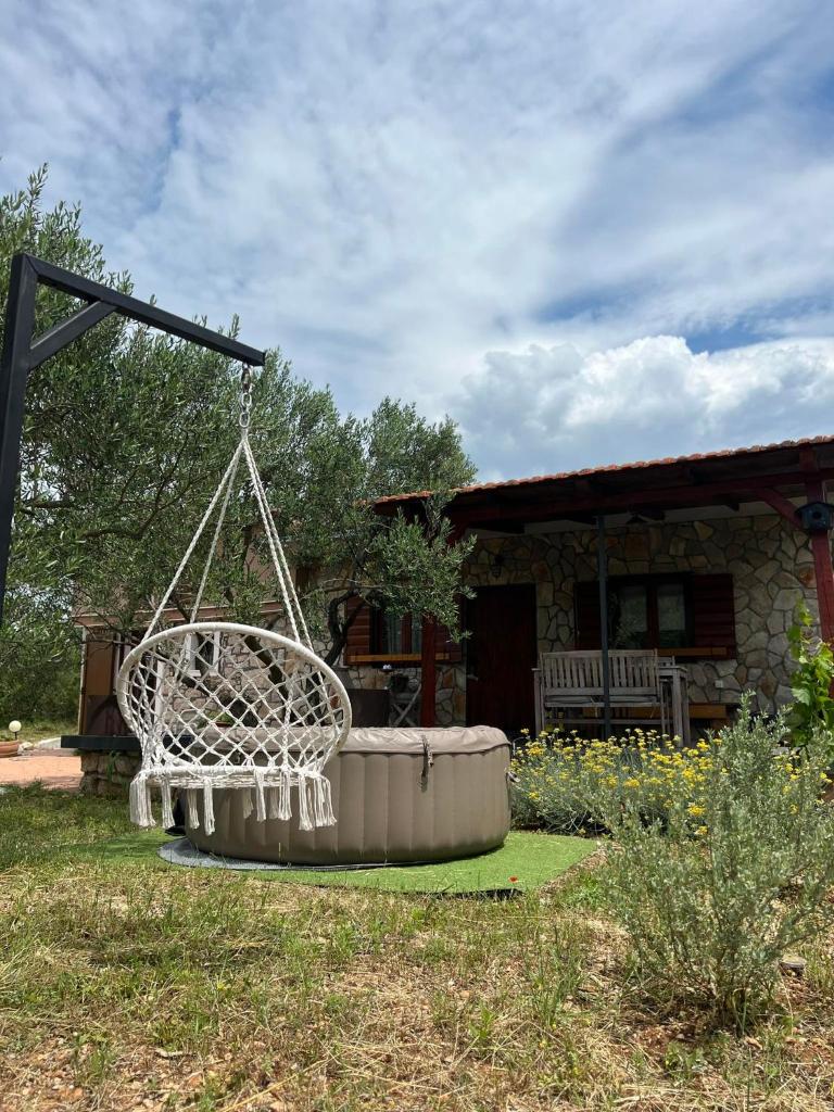 Design holiday home Old sea wolf photo 2