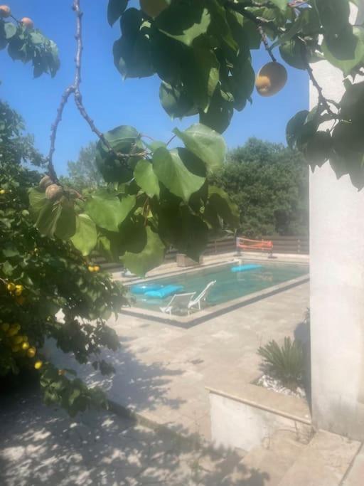 Belle, villa de charme piscine et jacuzzi 190 m 2 photo 2