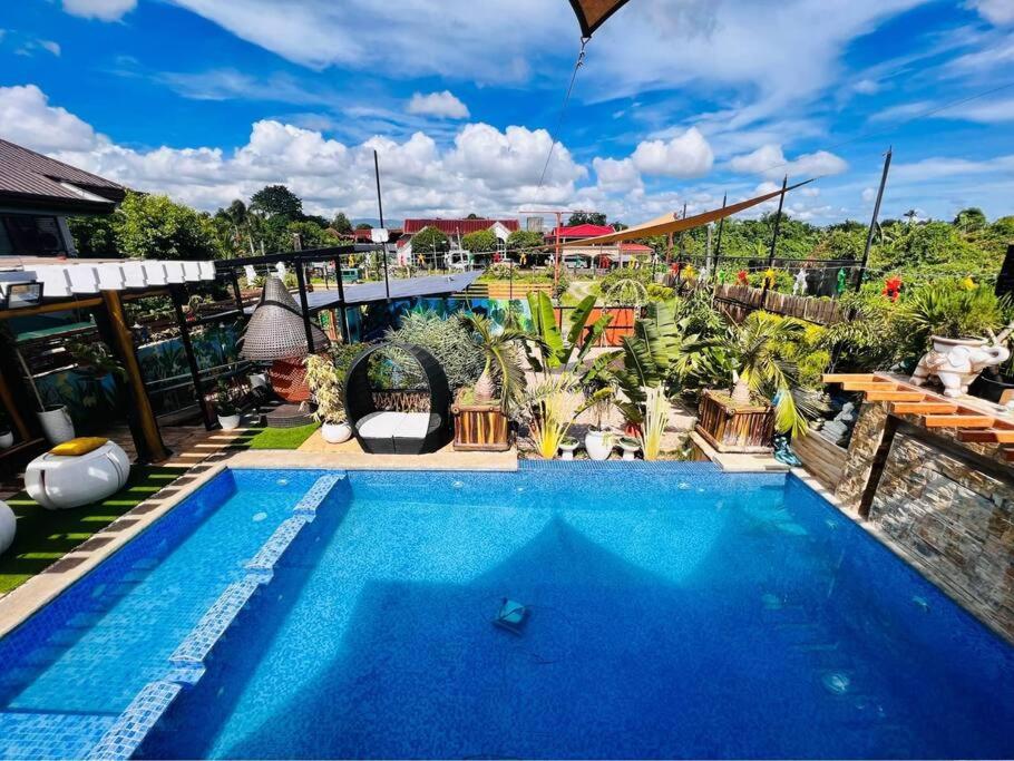 Delia's Guest House photo 2