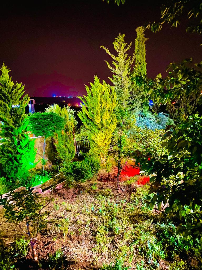 Green Farm photo 3