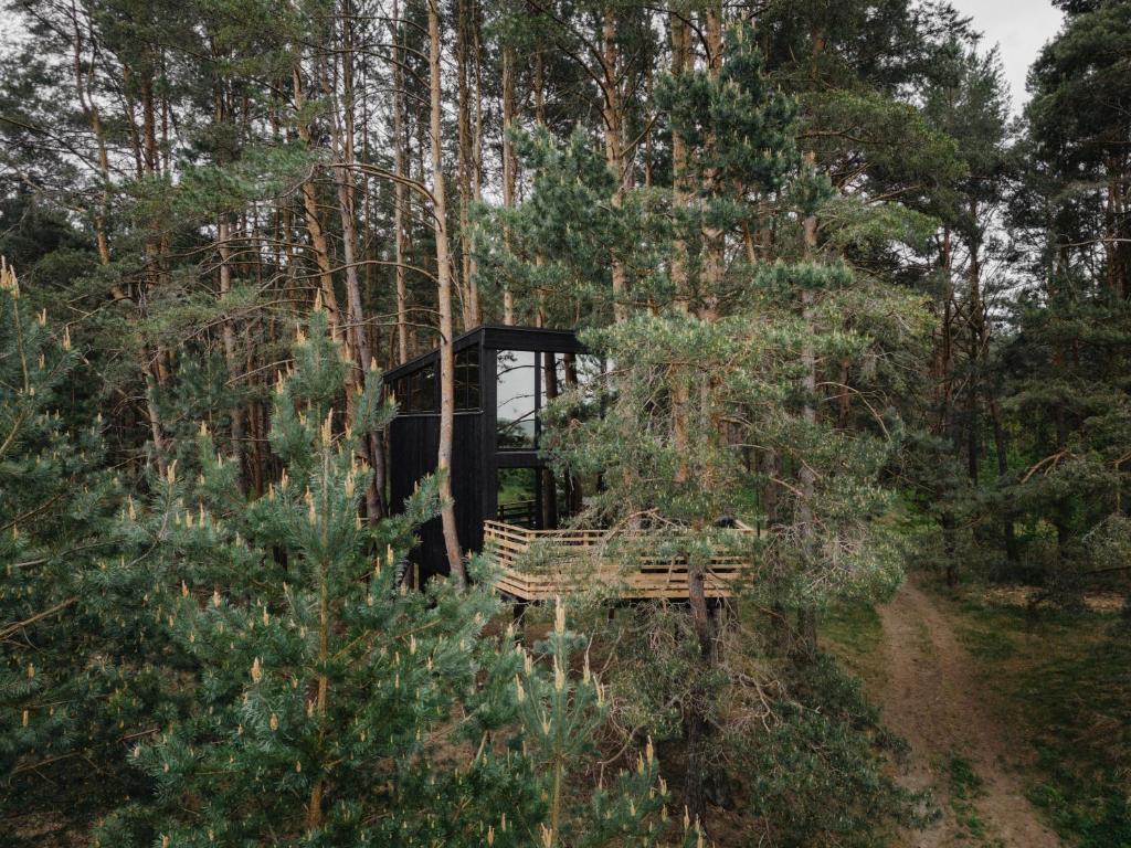 Treehouse Virš Bedugnės photo 1