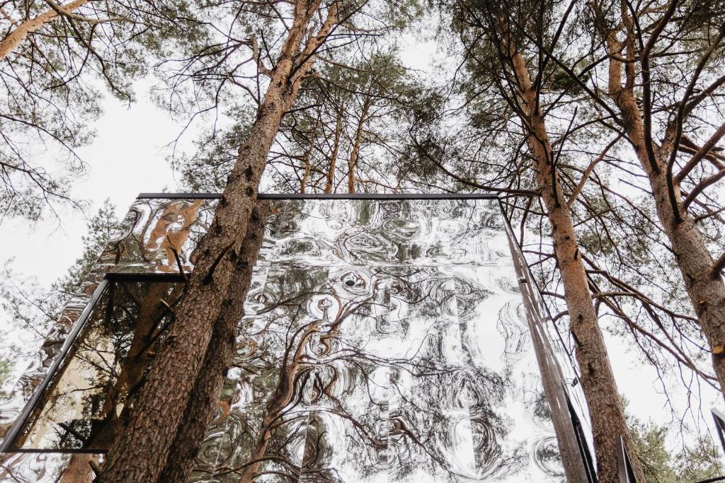 Treehouse Virš Bedugnės photo 2