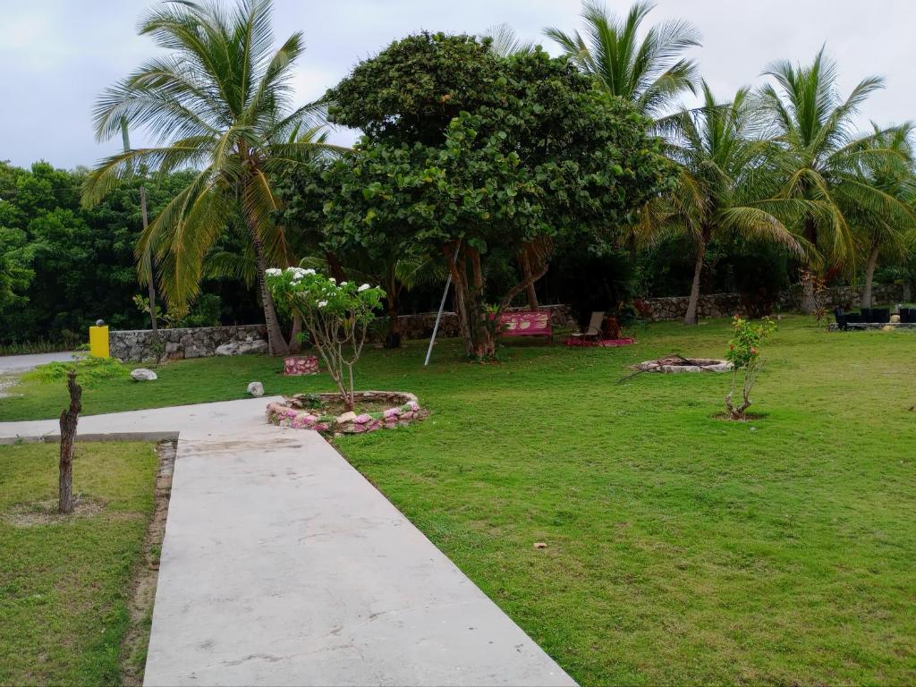 Surfers Manor Motel photo 3
