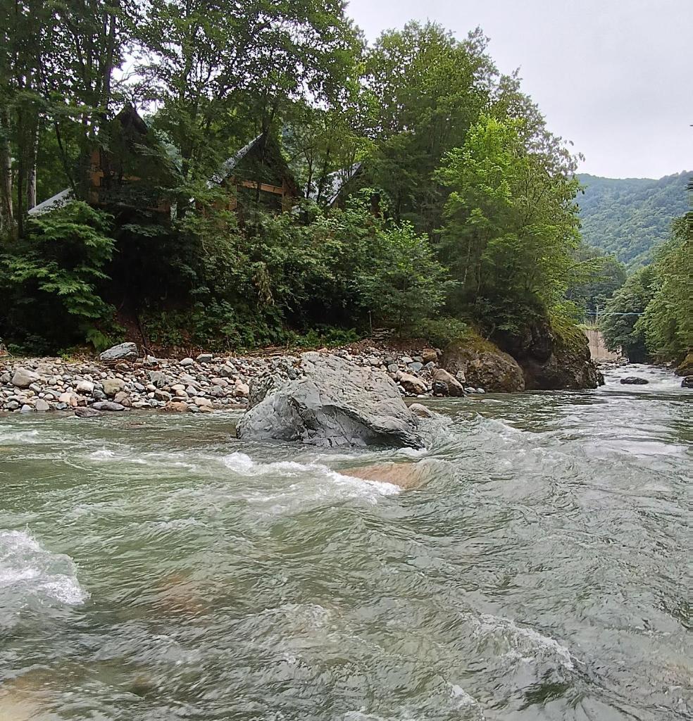 SAMUR DAĞ EVLERİ photo 1
