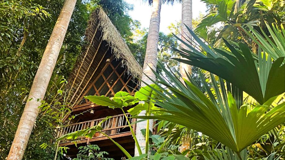 PUQIO ECOLODGE photo 1