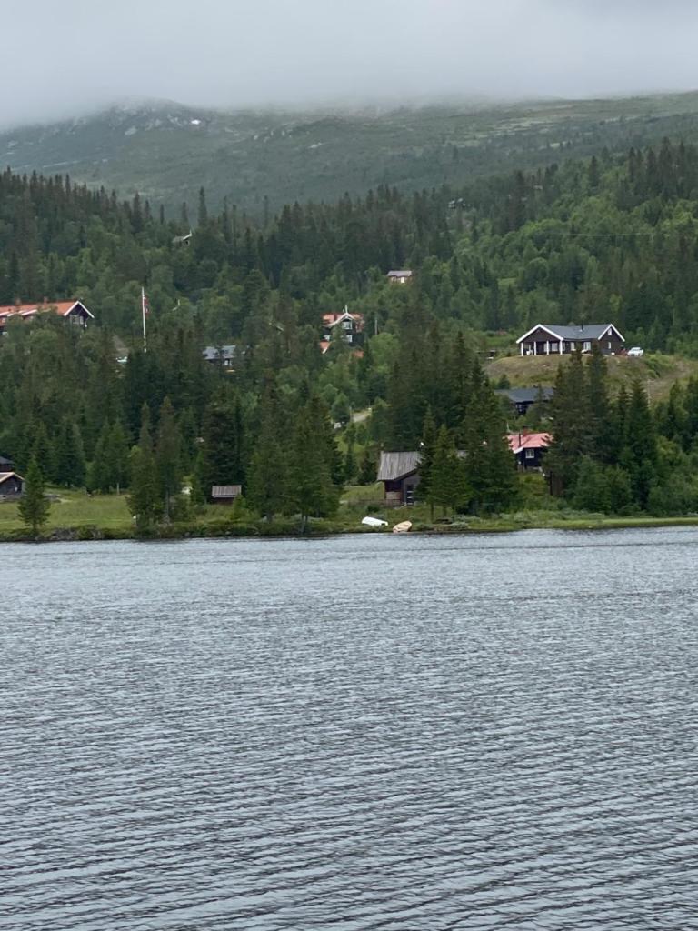 På solsiden av Gaustatoppen photo 2