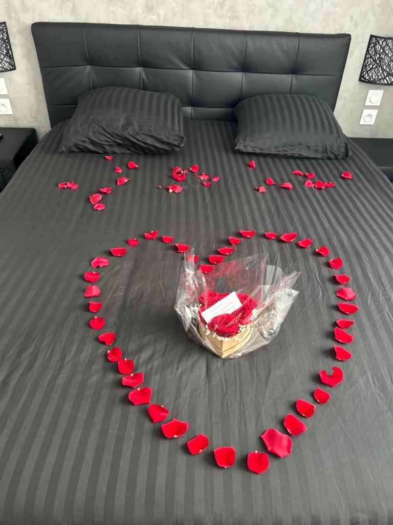 Appart de Luxe tout confort jusqu a 4 personnes photo 4