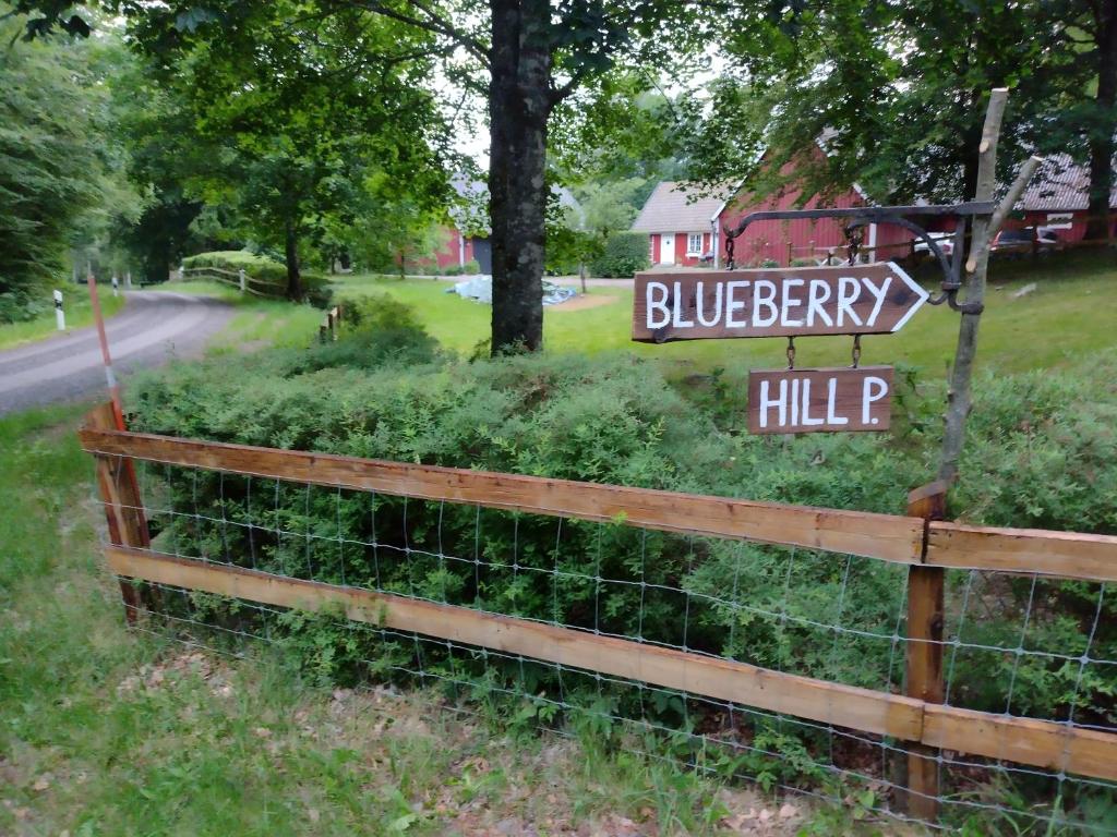 Blueberry Hill photo 3