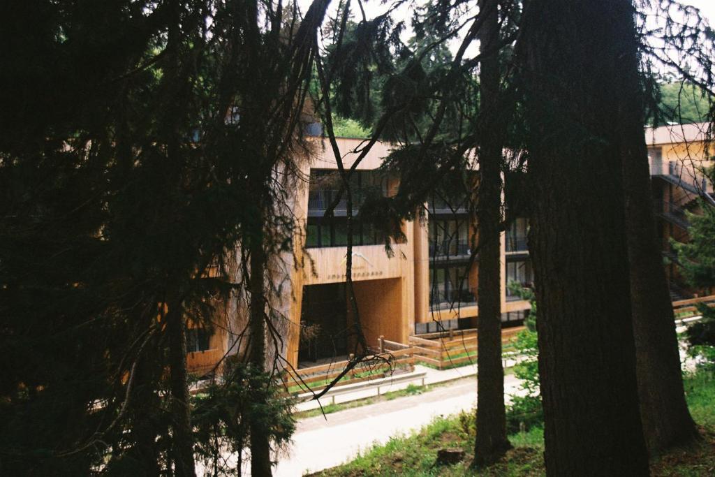Apartment Kokhta-Mitarbi B3 408