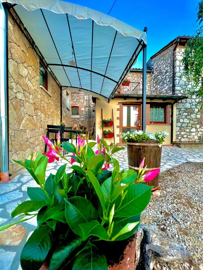 B&B Fontanelle photo 2