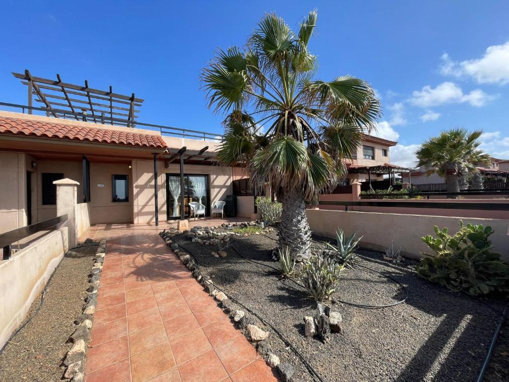 Adam Home Origo Mare photo 2