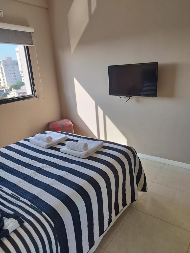 CAPi I photo 3