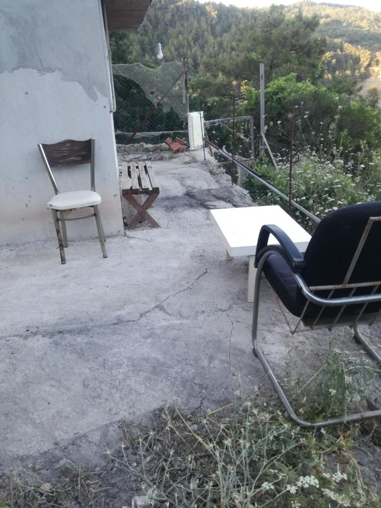 Orman ev photo 2