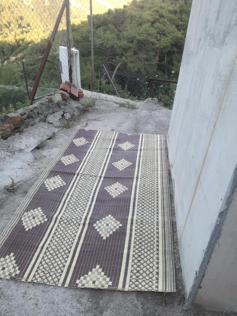 Orman ev photo 3