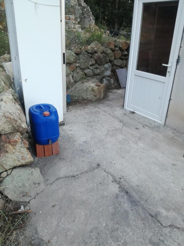 Orman ev photo 4