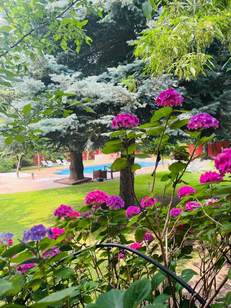 B&B Concha photo 3