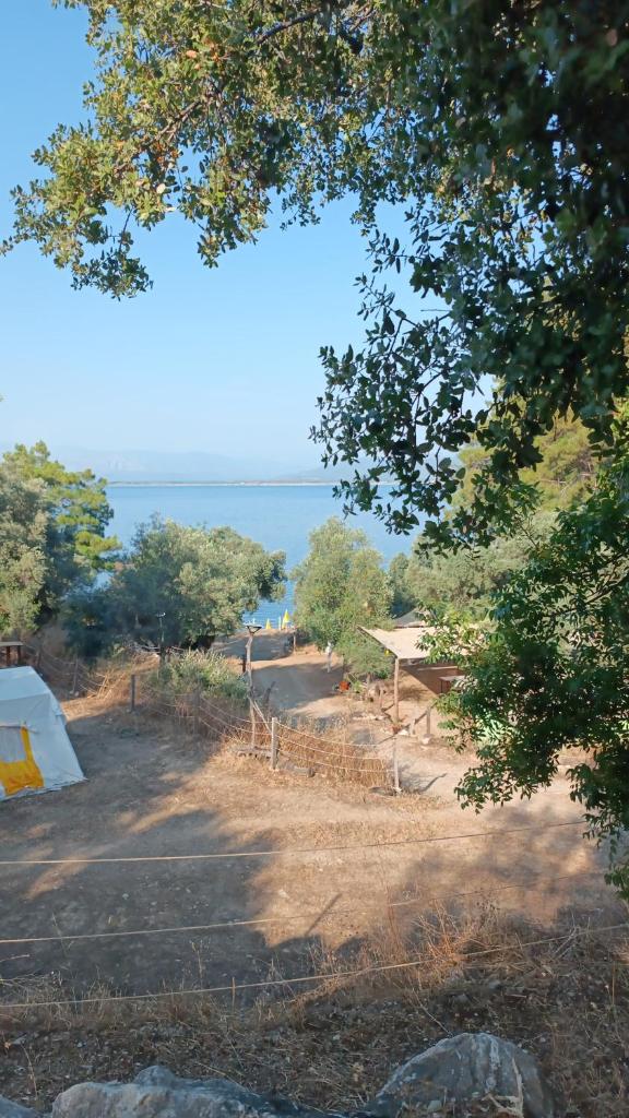 Es&Es campıng ve bungalov photo 2