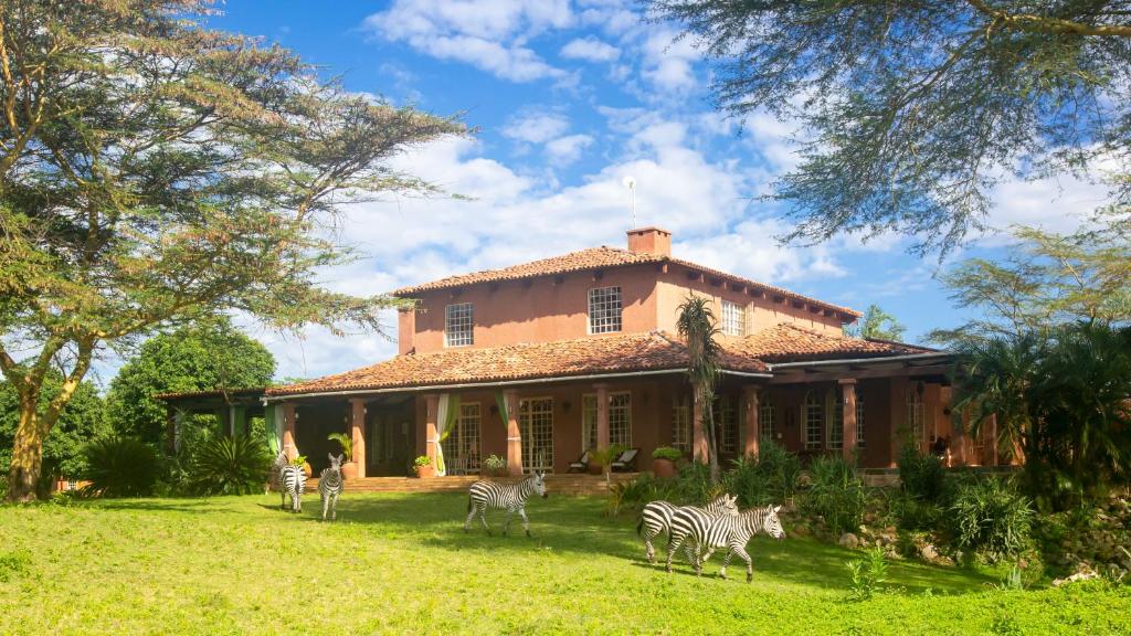 Chara Africa Hotel