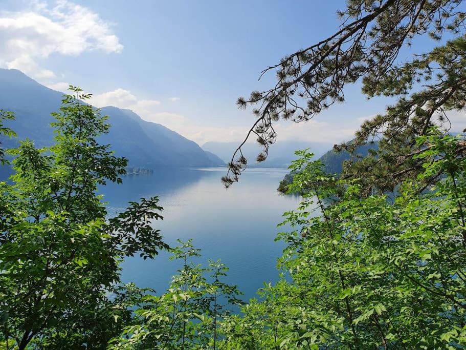 Between Lake & Mountain photo 1