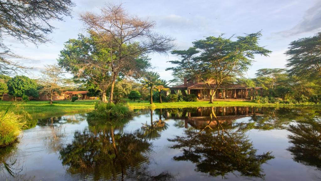 Chara Africa Hotel photo 2