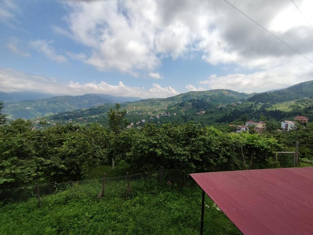 DOGA&HUZUR Tek kat daire photo 2