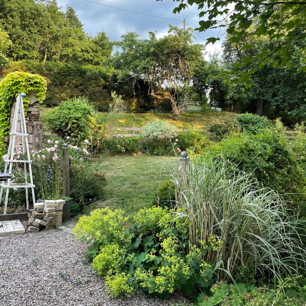 Le moulin de l Epine photo 3