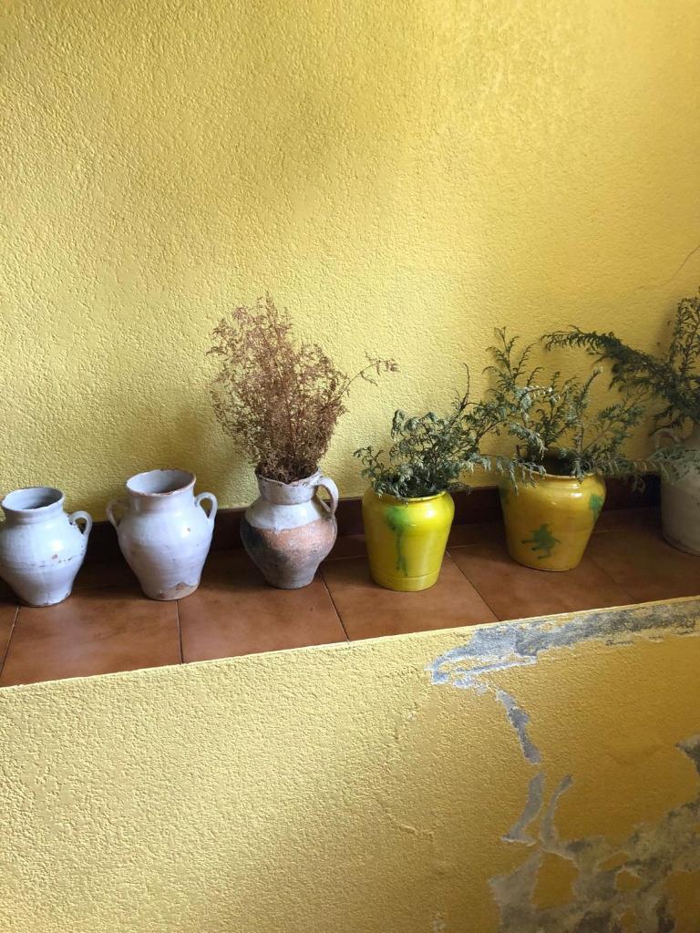 Casa Rural Amamana photo 3