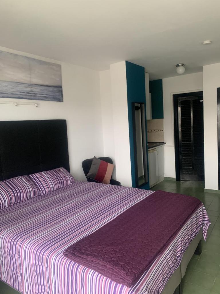 Coconut Apartments - Adults Only photo 2