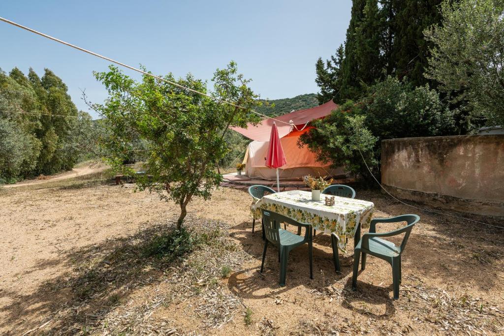 Olive Tent - In Our Garden photo 1