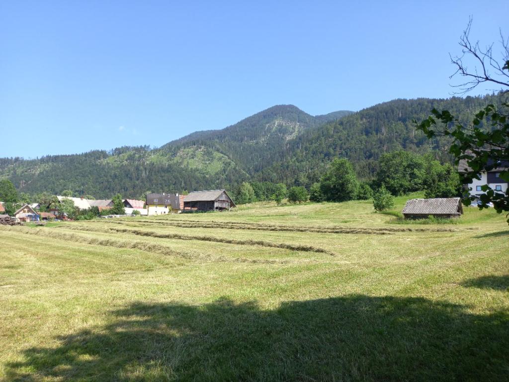Tubej turist farm - wooden hayloft photo 4