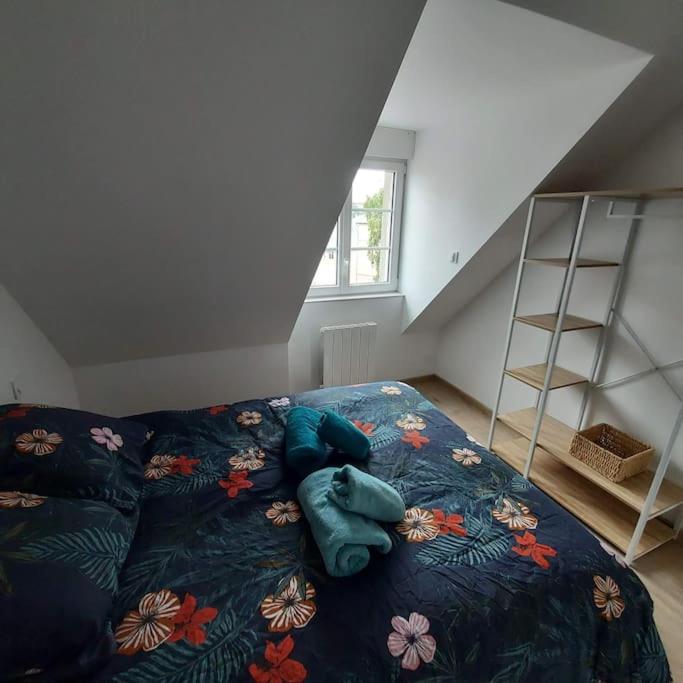 Bel appartement F2 hyper centre refait à neuf photo 4