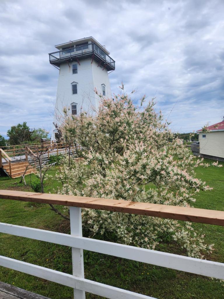 Baywatch Lighthouse Cottages & Motel photo 1