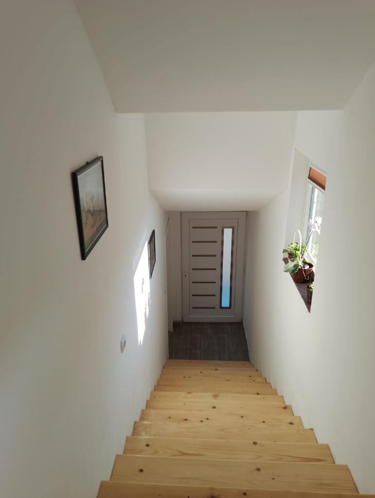 Vila Milica photo 3