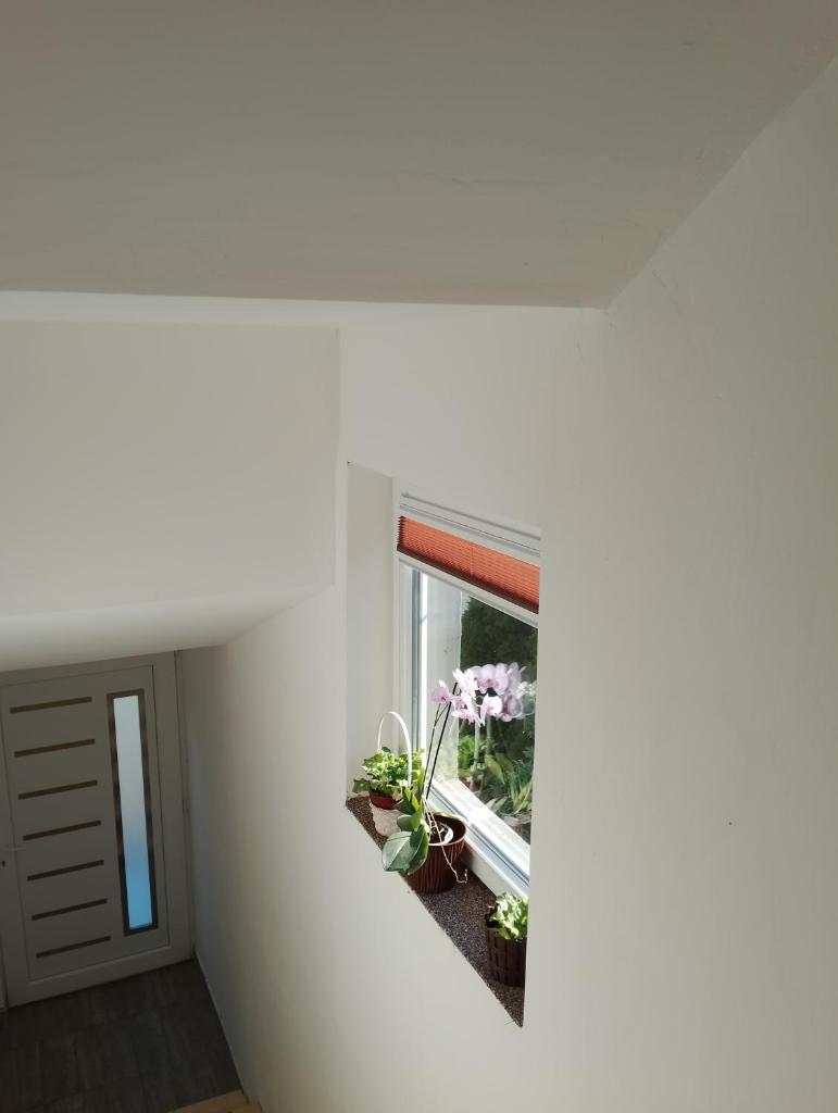 Vila Milica photo 4