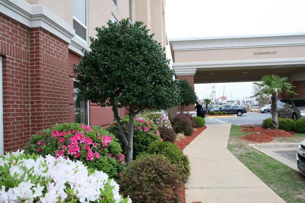 Hampton Inn Shreveport-Airport photo 3
