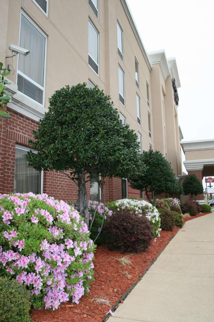 Hampton Inn Shreveport-Airport photo 2