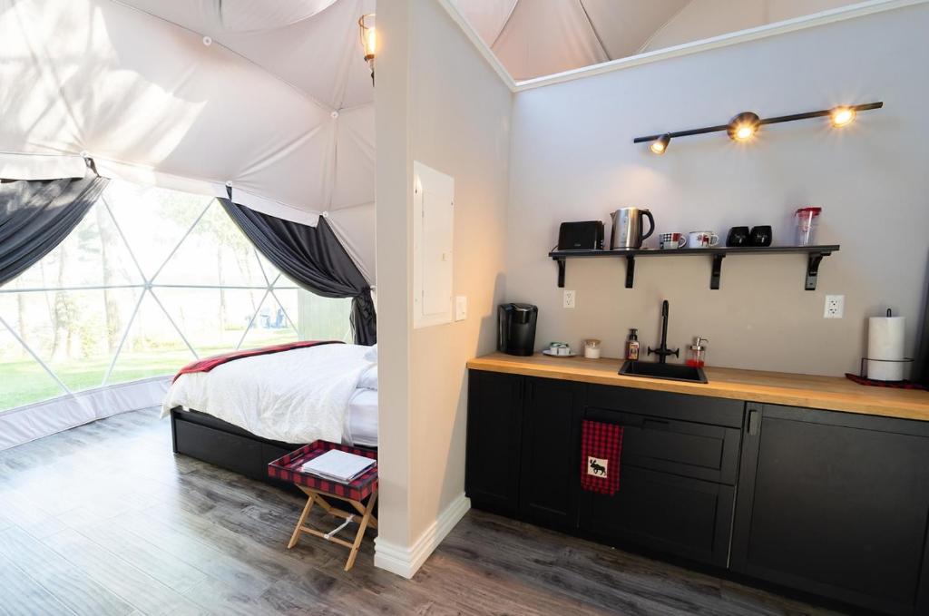 Gravity Luxury Domes photo 4