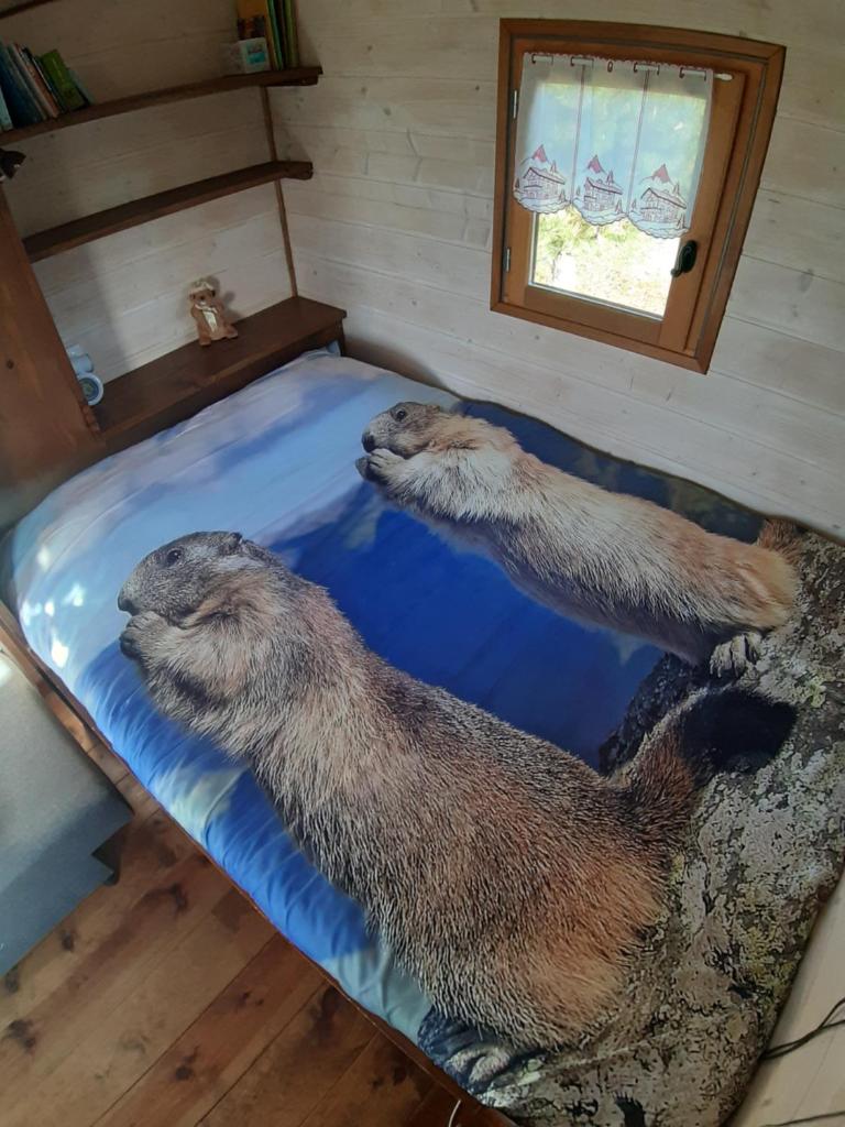 Roulotte La Marmotte photo 1
