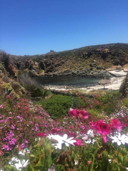 Cabaña (entre Pichidangui y los Vilos) photo 1