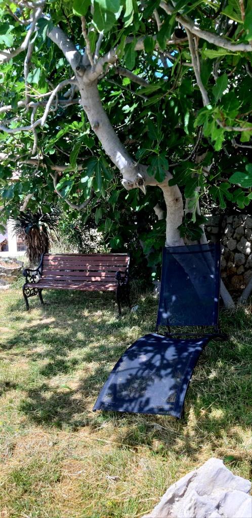 Family Apartment Miluna photo 3