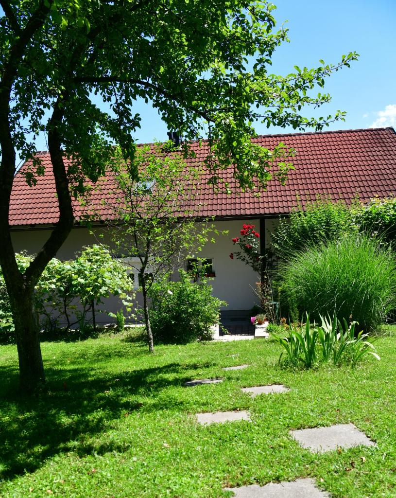 Apartments Marija photo 3