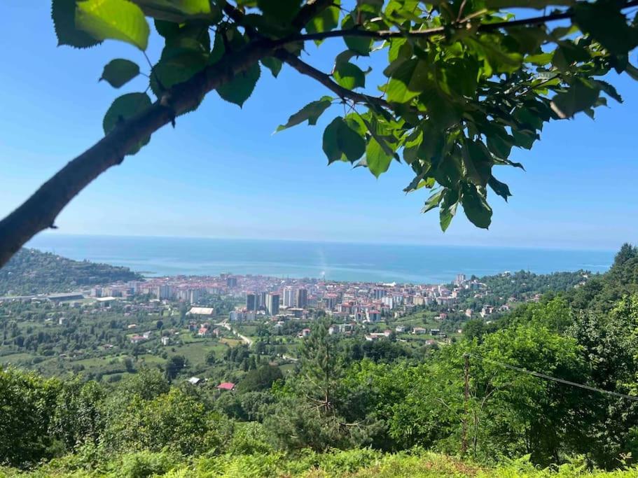 Arhavi deki eviniz photo 3
