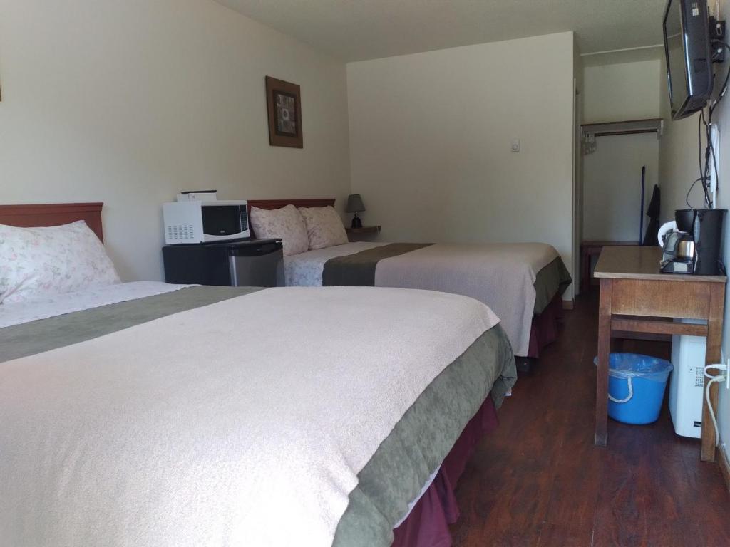 Dolphin Motel photo 3