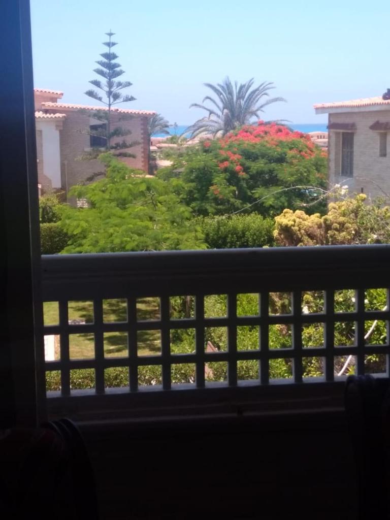 شاليه بالساحل الشمالي قرية الفيروز الكيلو 40 photo 2