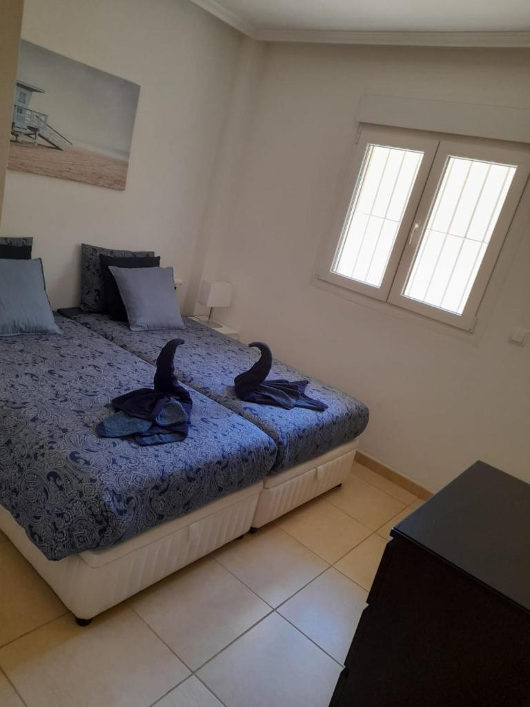 Apartamento Excelente photo 4
